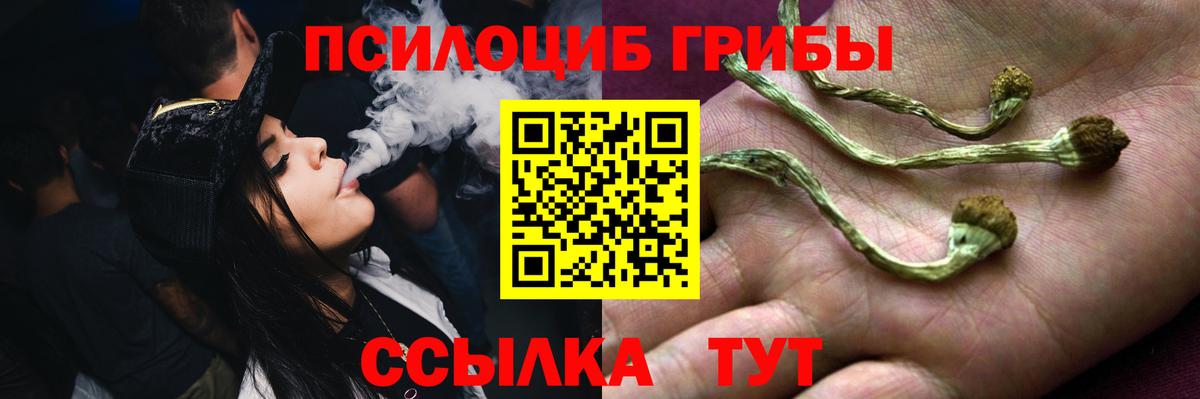 Галлюциногенные грибы MAGIC MUSHROOMS Отрадный